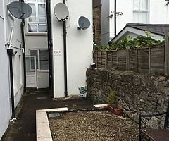 Gardener /Handyman - Image 5/10