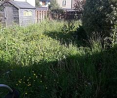 Gardener /Handyman - Image 10/10