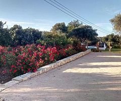 Nice Vw touran 1.6 full History Timing belt and waterpump 108 miles 6250 - Image 6/9