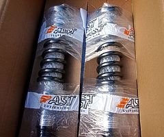 AST 4100 Suspension / coilovers for Honda Integra, Civic EG, Del Sol
