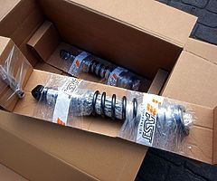 AST 4100 Suspension / coilovers for Honda Integra, Civic EG, Del Sol - Image 6/10