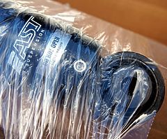 AST 4100 Suspension / coilovers for Honda Integra, Civic EG, Del Sol - Image 9/10