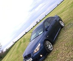 520d Msport