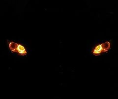 H8 Amber bulb , error free