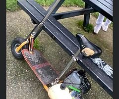 Tami petrol scooter - Image 1/3