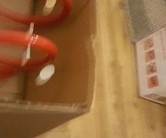Bmw e60 lowering springs