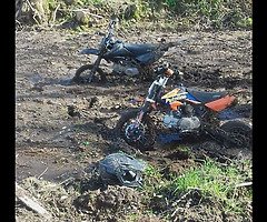 Looking pitbike