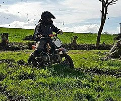 Looking pitbike