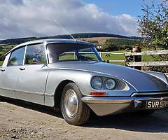 Citroen DS for sale