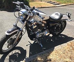 Harley Davidson Sportster Low 1200cc - 2007 - Image 3/6