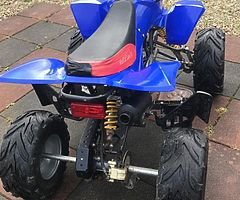 110cc mad cat childrens-teens quad