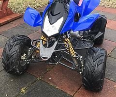 110cc mad cat childrens-teens quad