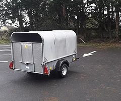 IFor Williams trailer for sale - Image 7/7