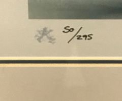 JOEY DUNLOP - Mounted & Framed Print by Artist "STEPHEN DOIG" No:50/295 Isle of Man TT NW200 BSB - Image 3/5