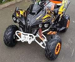 125 quad at muckandfun 4 kids and adults . Finanace. Home delivery. - Image 6/10
