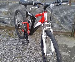 Man's bike . Portadown.