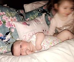 2014 Volkswagen Passat **light damage** - Image 3/8