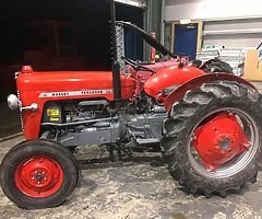 Massey 25 and david brown 770 for sale - Image 3/10