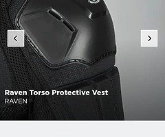 Body armour - Image 5/6
