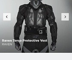 Body armour - Image 6/6