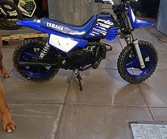 2018 Yamaha PW