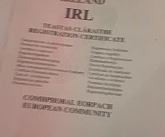 For sale €3,500 or SWAP full service car drives very well pm me thanks! - Image 9/10