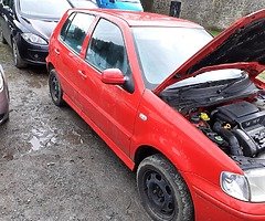 Polo Japanese import