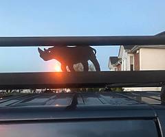 Rhino roof rack