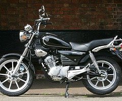 Looking to buy a honda cb or Yamaha ybr