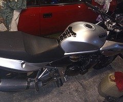 1200s bandit. good clean bike with one small scuff. New oil and filter fitted, running really well. 