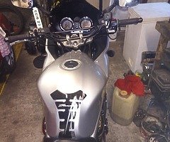 1200s bandit. good clean bike with one small scuff. New oil and filter fitted, running really well. 