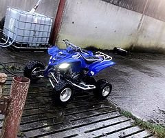 06 raptor - Image 6/6
