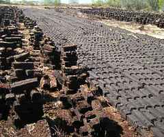 6 sod wide 100 yards long rows of turf for sale in Robertstown eara ring 0864476765 can be sold buy 
