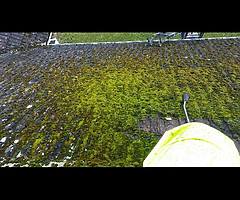 Powerwashing & painting - Image 4/10