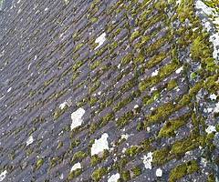 Powerwashing & painting - Image 7/10