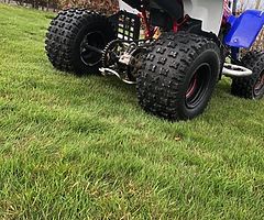 Yamaha Banshee November 2012 - Image 6/10