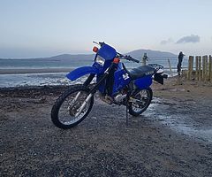 1999 dt125