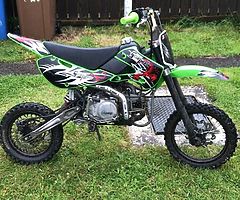 2019 160cc Scorpion Pitbike