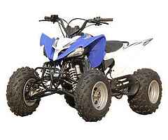 Looking for a 250cc quad