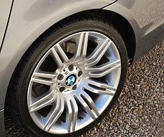 19” Spiders Wanted