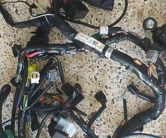 Lapyas Suzuki jsr 750 0550287190