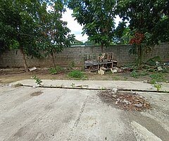 ZANDRA78