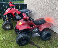2018 Bashan Quad