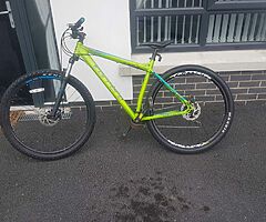 Carrera sulcatta mountain bike