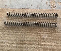 RMZ 250 fork springs