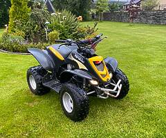 2009 Eton Viper