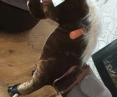 Brown ride along horse