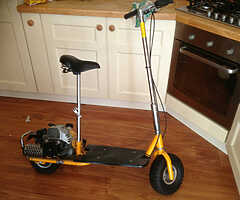 WANTED TAMI SCORPION SCOOTER
