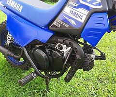 2018 Yamaha PW