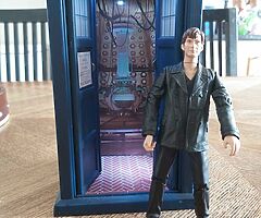 Tardis and doctor